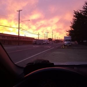 Meet your Posher, George